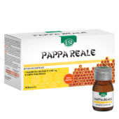 Pappa Reale