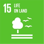 15_SDGs_icone_EN_150x150-2